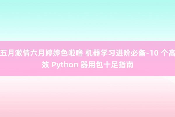 五月激情六月婷婷色啦噜 机器学习进阶必备-10 个高效 Python 器用包十足指南